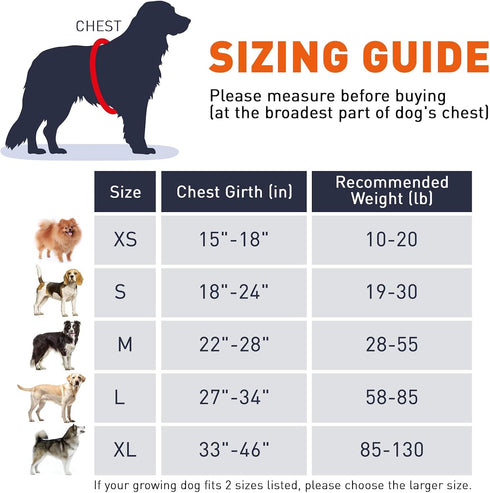 Dogline Reflective No-Pull Adjustable Harness with Handle for Walking, Training, Breathable, No-Choke Vest for Small,