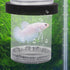Ipetboom 1pc Aquarium Box - Baby Fish Separator Box, Floating Hatching Incubator for Betta Fish