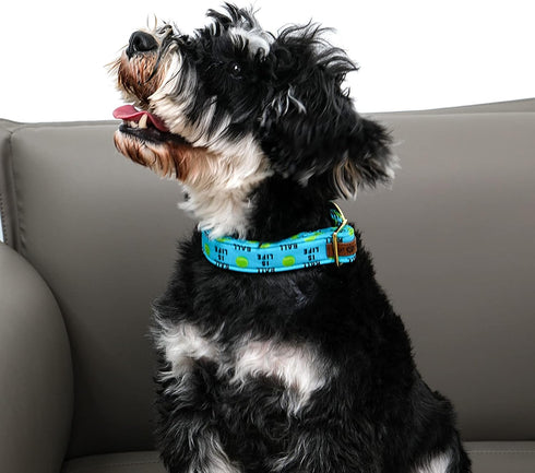 Lionet Paws Dog Collar, Comfortable Adjustable Cute Collar with Metal Buckle for Male Female Dogs, Tennis Ball Pattern