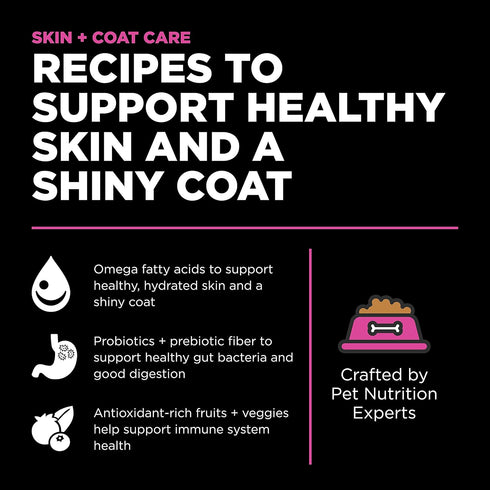 Go! Solutions Skin + Coat Care Dry Cat Food, Chicken Recipe with Grains, 8 lb, for All Life Stages
