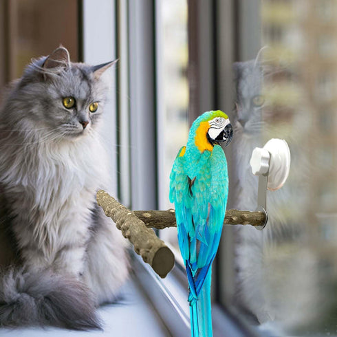 Natural Bird Perch Stand with Suction Cup, Wood Training Perch for Small Medium Large Parrots, T Shape