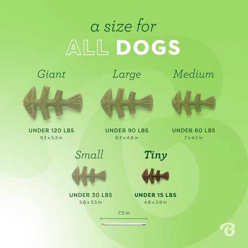 Benebone Tiny 2-Pack Fishbone Durable Dog Chew Toys, Real Fish Flavor, Made in USA