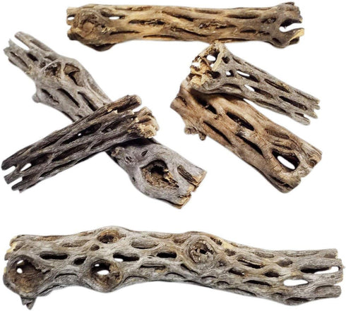 Aquatic Foods Inc. 3" & 6" Mixed Cholla Wood for Freshwater Shrimp, Crabs, Snails, Crayfish