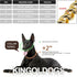 Gold Dog Chain Collar - Adjustable Stainless Steel 18K Cuban Link for Large, Medium, Small Dogs