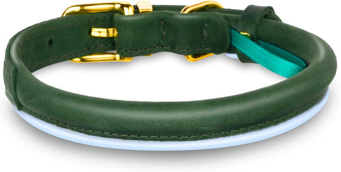 OOPSDOGGY Reflective Rolled Leather Dog Collar for Small Dogs, Adjustable Soft Padded Pet Collar for Small Breed Dogs Puppy (XS, 8"-11", Green)