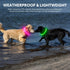 Led Dog Collar - Waterproof Lighted Pet Collar, Rechargeable for Night Walking, TPU Cuttable for Small, Medium, Large