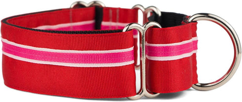If It Barks Martingale Collar for Dogs, 1.5" Adjustable Nylon, Strong and Comfy, Made in USA, Medium