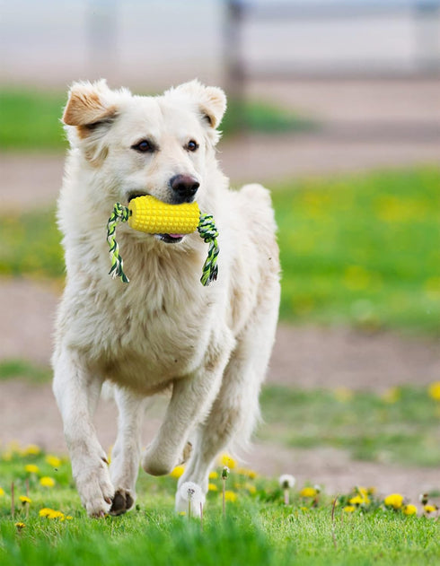 Dog Chew Toys for Puppies - Interactive Corn Toys for Clean Teeth, Aggressive Chewers, Medium Large Breed
