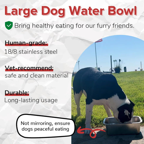 1.2 Gallon Large Dog Water Bowl, Human Grade Stainless Steel, for Large & Extra Large Sized Dogs - Silver Classic
