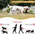 PETTOM 2 Way Dog Lead, Metal Chain Double Pet Clip Leash Coupler, 360° Swivel, No Tangle, S 3.0mm*50cm, Silver