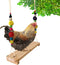 Vehomy Chicken Swing and Perch - Handmade Wood Stand Coop Toy for Hens