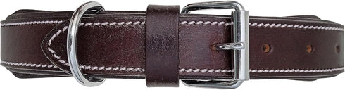 Heavy Duty Hand Tooled Floral Leather Dog Collar, Western Style Padded for Puppies and Big Dogs 10AB124-L