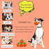 4 Pcs Pumpkin Dog Chew Toys, Squeaky Halloween Plush Cat Playing Toys for Teeth Grinding and Pet Training (Pumpkin)