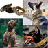 Tactical Dog Collar, Adjustable Military Nylon Dog Collar with Heavy Duty Metal Buckle and Handle for Training, Brown, L