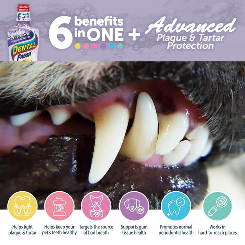 Dental Fresh Advanced Water Additive, 17oz – Dog Teeth Cleaning Formula for Oral Health and Fresh Breath
