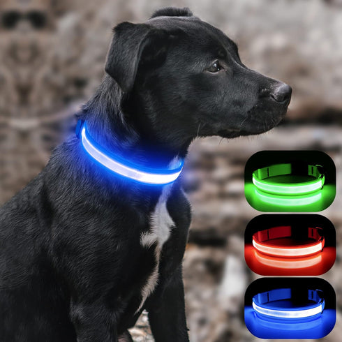 BSEEN Royal Blue Light Up Dog Collar - Reflective LED, Waterproof Glow in The Dark, Rechargeable for Night Walking