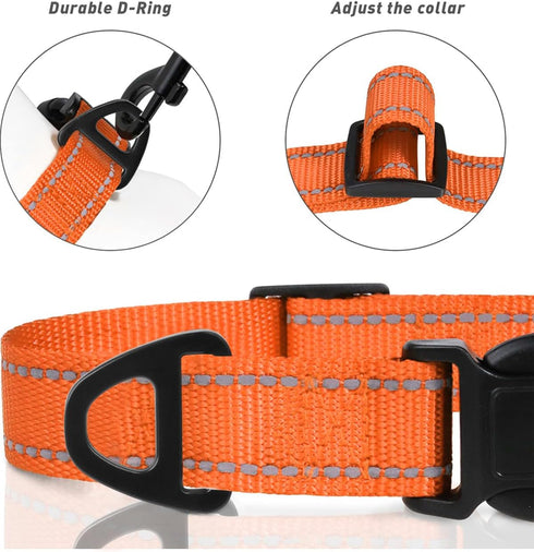 TagME Reflective Nylon Dog Collars - Adjustable Classic Pet Collar with Quick Release Buckle for Small Dogs, Orange