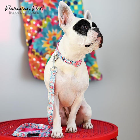 Parisian Pet Dog Collar - Adjustable “Spring Blossoms” Pattern Pink Buckle Safety Collar for Small Dogs - Breathable