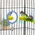 Hypeety Pet Bird Mirror with Bell, Interactive Parrot Toy for Cockatiel, Parakeets, Canaries, Budgie (Blue)