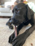 Bully Bunches All Natural 12 Inch Beef Jerky Sticks – Soft and Crunchy Gullet Chews - Odor Free, Rawhide Free