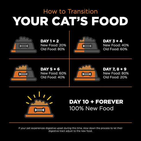 GO! SOLUTIONS Skin + Coat Care - Grain Free Dry Cat Food, 3 lb - Salmon Recipe, Cat Food for All Life Stages
