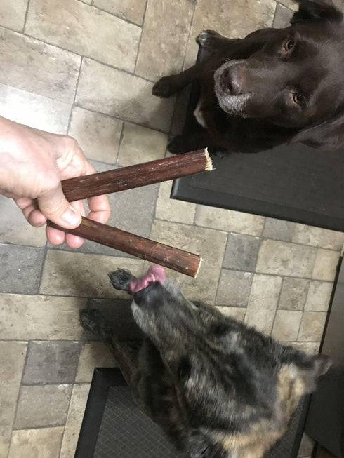 Bully Bunches All Natural 6 Inch Beef Jerky Sticks, Safe and Healthy Dog Treats for Light Chewers, 25 Pk