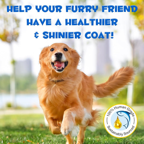Omega 3 Fish Oil for Dogs, 8.8 FL.OZ Salmon Oil Supplement for Skin and Coat, EPA + DHA, Golden