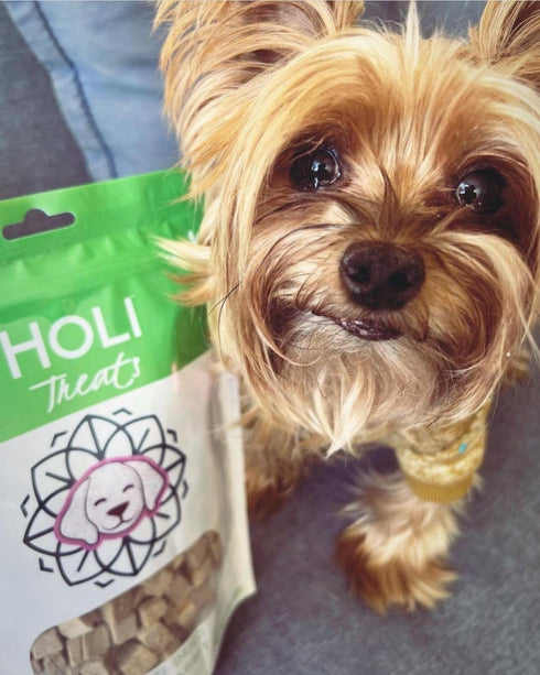 HOLI Freeze Dried Rabbit Treats for Dogs - All Natural, 100% Made in USA, Grain Free, 3.5oz
