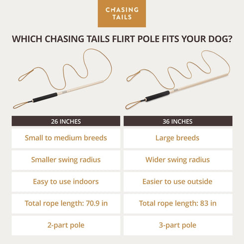 Flirt Pole for Small or Medium Dogs - 26 Inch with 70 Inch Rope and Two Toys, Spring Pole for All Breeds