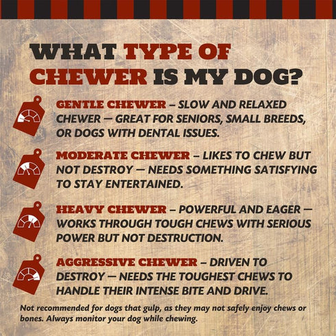 COUNTRY 7" 3 Count THE BUTCHER Beef Marrow Dog Bones for Aggressive Chewers, Large Breed Dog Treat, Natural, Tough