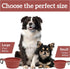 Large Collapsible Dog Bowls, 2 Pack 27oz/800ml Premium Silicone Portable Travel Feeding Bowls