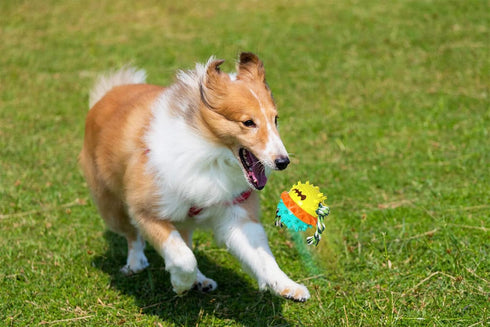 Carllg Durable Dog Toys for Aggressive Chewers, Treat Dispensing Puzzle Balls for Medium and Large Breed Puppies