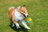 Carllg Durable Dog Toys for Aggressive Chewers, Treat Dispensing Puzzle Balls for Medium and Large Breed Puppies