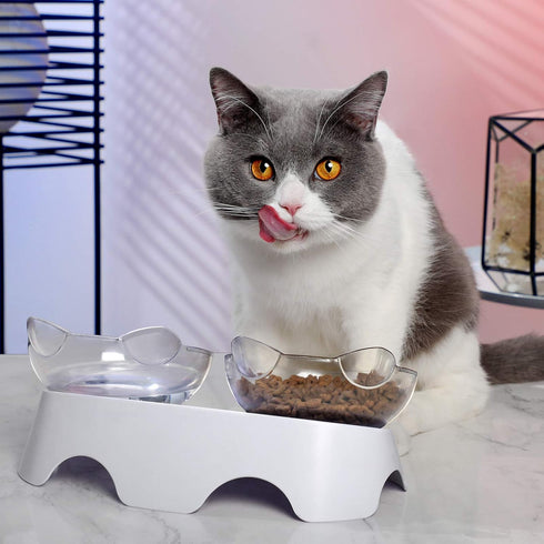 MILIFUN Elevated Tilted Cat Food Bowls, Anti Vomiting Orthopedic Bowls for Puppy and Bunny