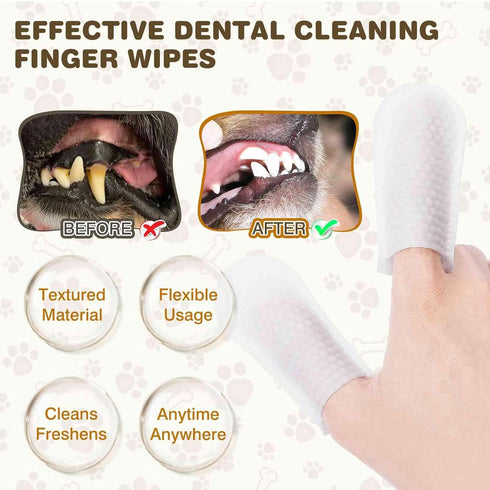 UrbanX Teeth Cleaning Wipes for Aussiedoodle and Mixed Breed Dogs, No-Rinse Disposable Finger Toothbrush, 60 Count