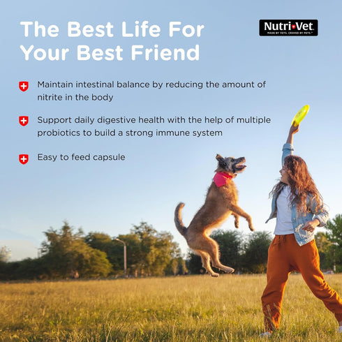 Nutri-Vet Probiotics Capsules for Dogs, Supports Digestive Health, 60 Count, Vet Formulated