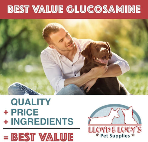 Lloyd & Lucy's Hip and Joint Supplement for Dogs, Chewable Multivitamin with Glucosamine, 180 Ct Tablets