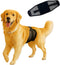 Dog Diapers Male Reusable & Washable Belly Bands for Dogs, Breathable Air-Mesh