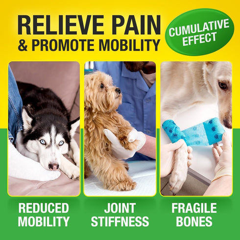 3 120 Glucosamine for Dogs - Hmp Calming Chews with Glucosamine & Chondroitin - Daily Support with MSM, Omega