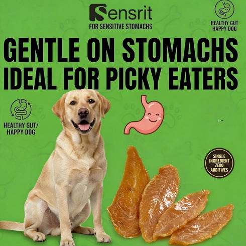 Sensrit 100% 120g (68%) Dried Chicken Slices Dog Treats - Single Ingredient Jerky, High Protein Real Chicken Breast