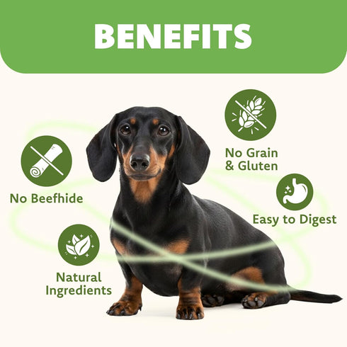 MON2SUN (8.82 -Pack 1) Rawhide Free Dog Treats Chicken Wrapped Cod Sticks for Small Dogs Healthy Training Treats Soft