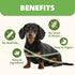 MON2SUN (31.75 -Pack 1) Rawhide Free Dog Treats Chicken Wrapped Cod Sticks for Small Dogs Healthy Training Treats Soft
