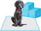 BESTLE Large Pet Training and Puppy Pads Pee Pad for Dogs 24"x24"-80