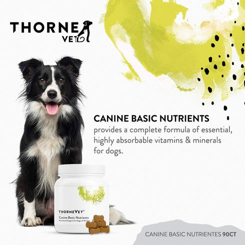 ThorneVET Canine Basic Nutrients Multivitamin Support for Dogs - 90 Soft Chews