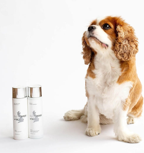 Isle of Dogs Coature No. 51 Heavy Management Dog Conditioner, 8.4 oz, for Damaged Hair