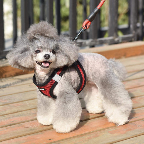 Dog Harness Step-in Breathable Vest for Small Medium Dogs, Red