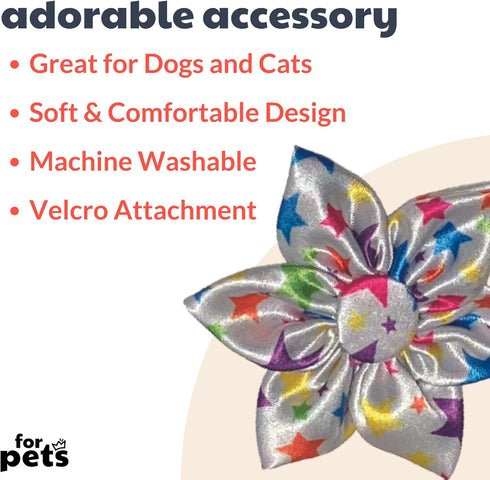 Huxley & Kent Pet Pinwheel | Superstar (Large) | Birthday Velcro Collar Accessory for Dogs/Cats