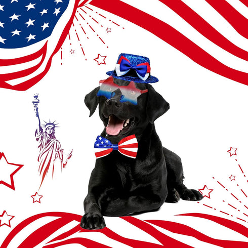 Dog Independence Day Costume, 3PCS 4th July Hat, USA Stars Sunglasses, American Flag Bow Tie Collar for Medium Large