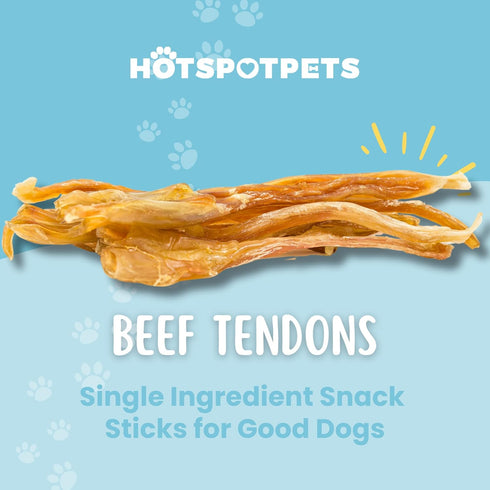 hotspot pets Beef Tendon Chews for Dogs, 8 Inch All Natural, Grass-Fed Premium USDA Gambrol Beef Tendon Stick