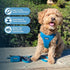 Best Pet Supplies Voyager Adjustable Dog Vest Harness - Breathable No Pull Harness for Small, Medium, Large Dogs,